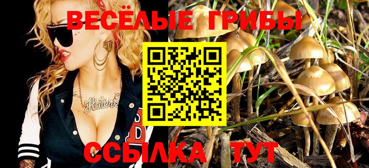 Галлюциногенные грибы мухоморы Кыштым