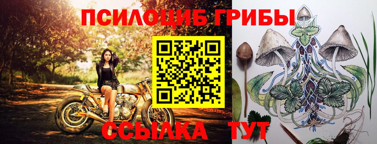 Псилоцибиновые грибы GOLDEN TEACHER  Псилоцибиновые грибы Psilocybe  Кыштым  Вход с VPN 